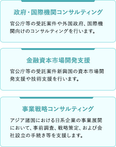 政府・国際機関コンサルティング、金融資本市場開発支援、事業戦略コンサルティング