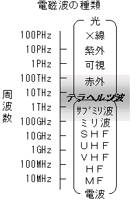 テラヘルツ波産業の可能性 2005年11月16日 | 大和総研 | 大澤 秀一