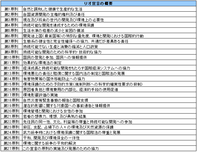 リオ宣言の概要