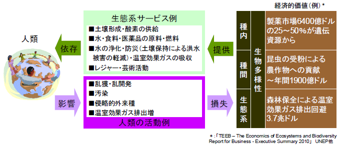 図表１　生態系サービス・生物多様性の経済的価値