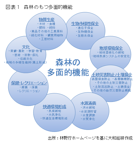 森林のもつ多面的機能