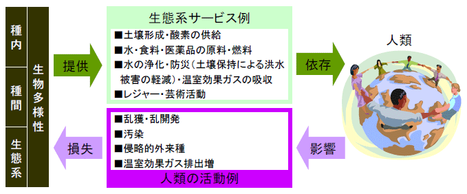 図表１　生物多様性と人類の関係