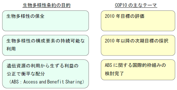 図表２　生物多様性条約